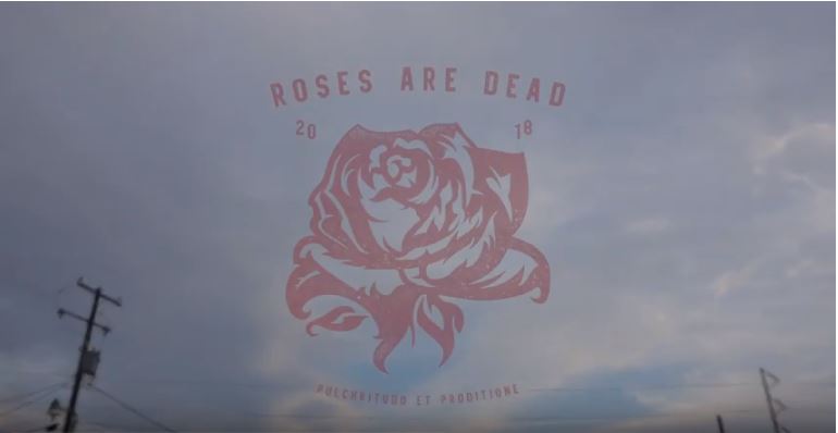 Roses are Dead