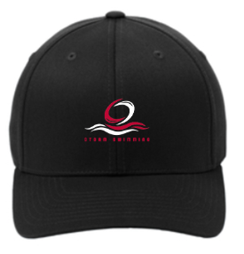 Port Authority® Flexfit® Cap - Black