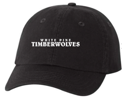 Valucap Youth Small Fit Bio-Washed Dad Hat