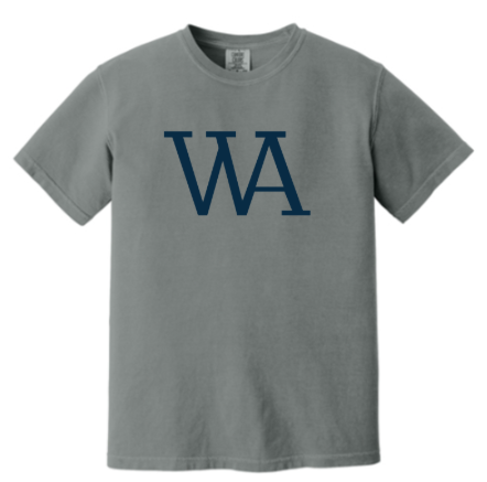 Comfort Colors® Heavyweight Ring Spun Tee - Grey