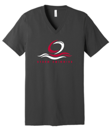 BELLA+CANVAS® Unisex Jersey Short Sleeve V-Neck Tee