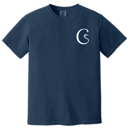 Comfort Colors® Heavyweight Ring Spun Tee - Navy
