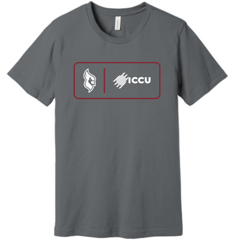District® Perfect Tri® Tee - Heathered Grey - North Idaho College