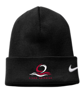 Nike Team Cuffed Beanie