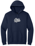 Gildan® Heavy Blend™ Hooded Sweatshirt - Youth & Adult