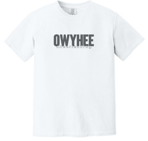 Comfort Colors® Heavyweight Ring Spun Tee