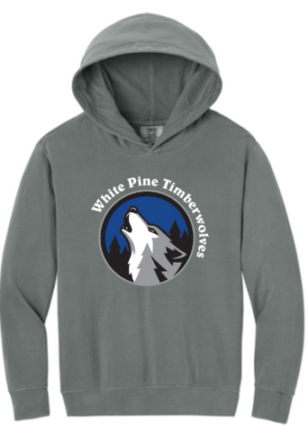 Comfort Colors® Youth Lightweight Hooded Sweatshirt - Black